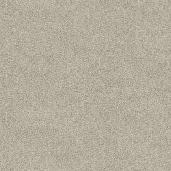 Canvas 520