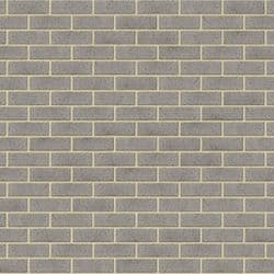 Angasi Half (Cream Mortar)