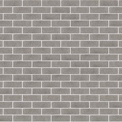 Angasi Half (White Mortar)