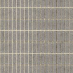 Angasi Soldier (Cream Mortar)