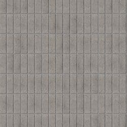 Angasi Soldier (Grey Mortar)