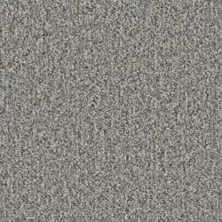 Atticus 4318