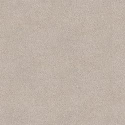 Clay 11
