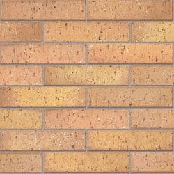 Cederberg Piazza Stretcher