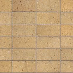 Champagne Modular Stack