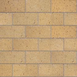 Champagne Modular Stretcher