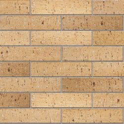 Champagne Piazza Stretcher