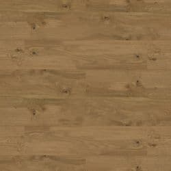 Autumn Amber 520