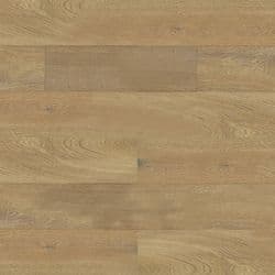 Elm Oak 565
