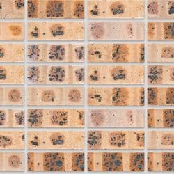 Fynbos Geel Satin Stack Bond