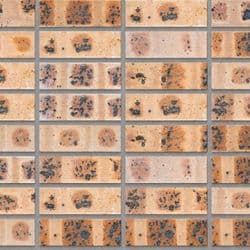 Fynbos Geel Satin Stack Bond