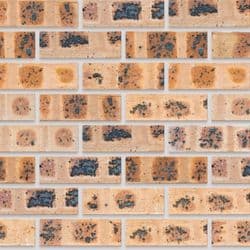 Fynbos Geel Satin Stretcher Bond