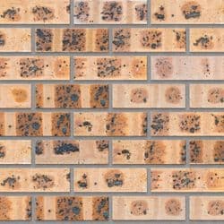 Fynbos Geel Satin Stretcher Bond