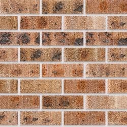 Kiaat Coral Stretcher Bond