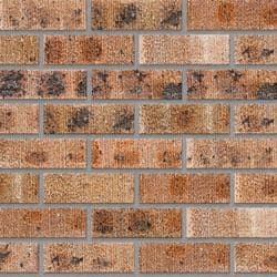 Kiaat Coral Stretcher Bond