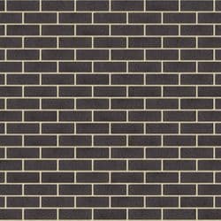 Midnight Half (Cream Mortar)