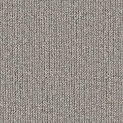 Macleay 8106