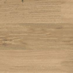 Blackbutt 545
