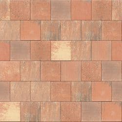 Promenade Classic Autumn Blend Stretcher