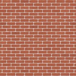 Red Smooth Tumbled Half (White Mortar)