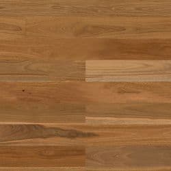 Spotted Gum