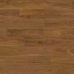 Spotted Gum
