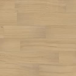 Tasmanian Oak