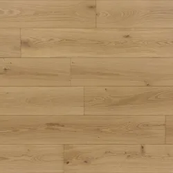 Blonde Oak 808