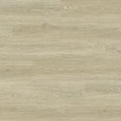 Brighton Oak B1
