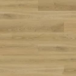 Coastal Oak