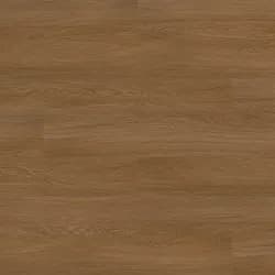 Regal Oak