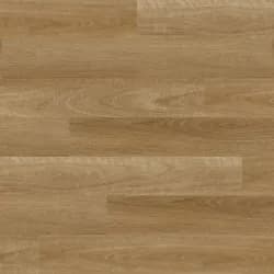 Warm Spotted Gum