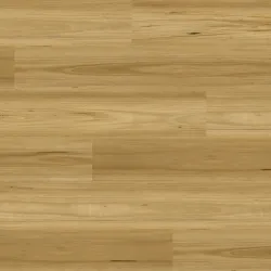 Coraki Blackbutt