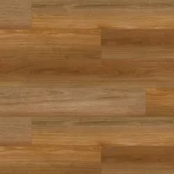 Northern Spotted Gum