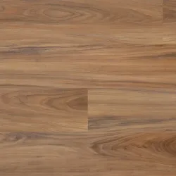 Coastal Blackbutt