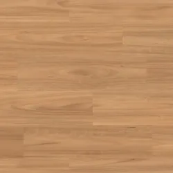 Classic Blackbutt Light