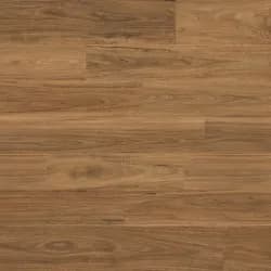 Spotted Gum