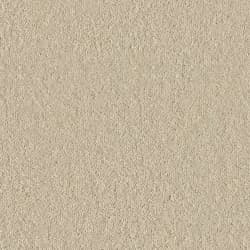 Baked Stone