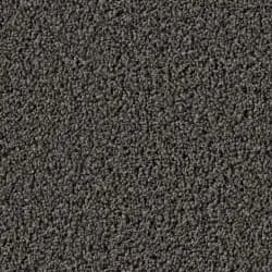 Charred Woodline